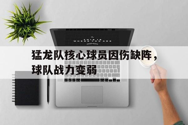 猛龙队核心球员因伤缺阵，球队战力变弱的简单介绍